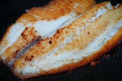 NBS20210313-Voigtlander-65F2-Salmon_0020